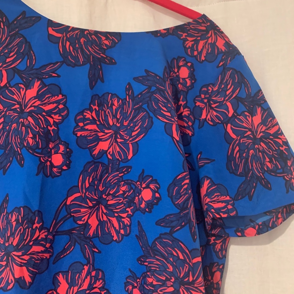 J.Crew Dress
